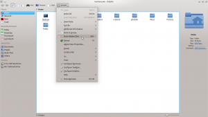 Dolphin file manager - Kubuntu