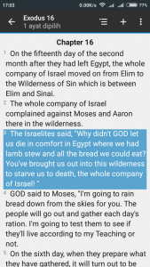 Exodus 16:1-4 (The Message)