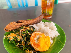 Lapar